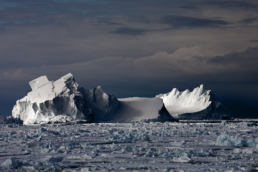 Camille Seaman, Floating Icebergs in Drift Ice II, Ross Sea, Antarctica, 2006