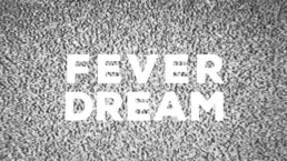 Devin Ronneberg & Kite, Fever Dream, 2021